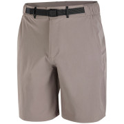 Pantalones cortos de hombre Salomon Wayfarer 2.0 short M gris Iron