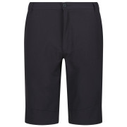 Pantalones cortos de hombre Regatta Highton ShortLong M gris Seal Grey