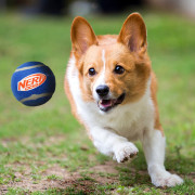 Juguete para perro Nerf Dog Squeak Tennis Ball 3 pcs