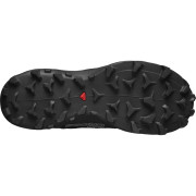 Calzado de mujer Salomon Wildcross Gtx