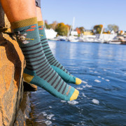 Calcetines de hombre Darn Tough Wild Life Crew Lightweight With Cushion