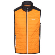 Chaleco de hombre Regatta Halton B/W VII naranja Orange Pepper/Black