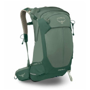 Mochila de senderismo Osprey Stratos 24 verde pine leaf