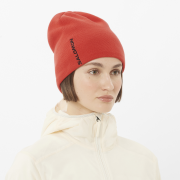 Gorro Salomon Graphic