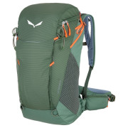 Mochila Salewa Alp Trainer 25 verde DuckGreen