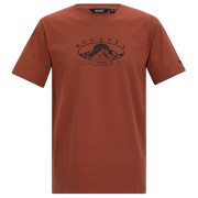 Camiseta de hombre Regatta Cline IX marrón Brick