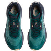 Zapatillas de carrera para hombre The North Face M Altamesa 300 V2
