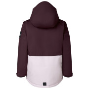 Chaqueta para niños Dare 2b Wing It Jacket Hucklbr/PkHz