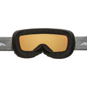 Gafas de esquí Alpina Pheos S Q Lite
