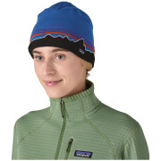 Gorro de invierno Patagonia Beanie Hat