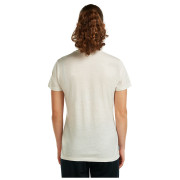 Camiseta de mujer Icebreaker Women Merino 150 Tech Lite SS Tee Bird Transit