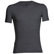 Camiseta de hombre Icebreaker Mens Anatomica SS V gris JetHthr