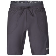 Pantalones cortos de hombre Direct Alpine Solo Shorts 3.0 gris/negro anthracite