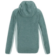 Sudadera para niños Regatta Skylar IvyMossOMist