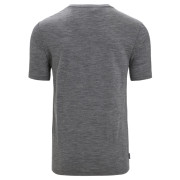 Camiseta funcional de hombre Icebreaker Tech Lite II SS Tee Nature Sprint