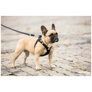 Correa para perro Curli Adjustable Leash Nylon