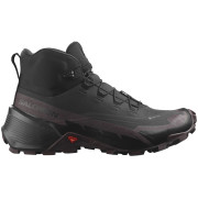 Calzado de senderismo para mujer Salomon Cross Hike 2 Mid Gore-Tex