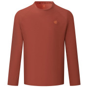 Camiseta de hombre Dare 2b Agile Long Sleeved Tee marrón ArabianSpice