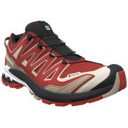 Calzado de senderismo para hombre Salomon Xa Pro 3D V9 Gore-Tex