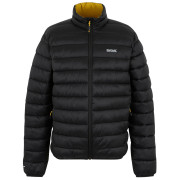 Chaqueta de hombre Regatta Marizion