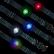 Luz para perro Nite Ize NiteDog™ Rechargeable Pet Light
