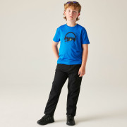 Pantalones para niños Dare 2b Rapid Trouser Black