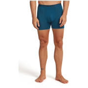 Calzoncillos bóxer para hombre Icebreaker Men Merino 150 Anatomica Boxers