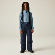 Pantalones de esquí para niños Dare 2b Outmove III Insulated Pant Navy