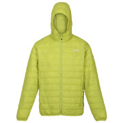 Chaqueta de invierno para hombre Regatta Hooded Hillpack verde oscuro Green Algae