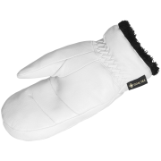 Manoplas Salomon Native Gore-Tex Mitten