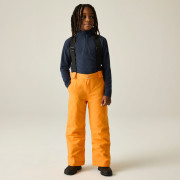 Pantalones de esquí para niños Dare 2b Outmove III Insulated Pant ElectricOrng