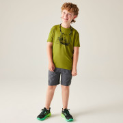 Camiseta para niños Dare 2b Amuse III Tee Goldn Cypress