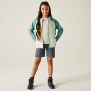Chaqueta para niños Regatta Junior Andreson Hybrid IvyMossOMist