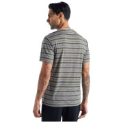 Camiseta de hombre Icebreaker Mens Wave SS Tee Stripe