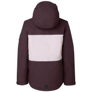 Chaqueta para niños Dare 2b Send It II Jacket Hucklbr/PkHz