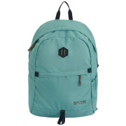 Mochila Regatta Boulder 25L