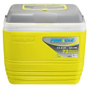 Caja de refrigeración Pinnacle Primero 32L gris/amarillo Lime
