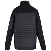 Chaqueta de hombre Regatta Ceden Hybrid