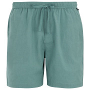 Pantalones cortos de hombre Regatta Hadlin Shorts azul claro Arctic