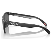 Gafas de sol OAKLEY Frogskin Prizm Black Polarized