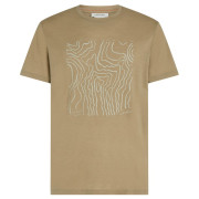Camiseta funcional de hombre Icebreaker M 150 Tech Lite SS Tee Great Heights marrón claro Cumin