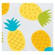 Botella Nalgene Narrow Mouth Fruit 500 ml