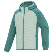 Chaqueta para niños Regatta Junior Andreson Hybrid IvyMossOMist