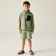 Sudadera para niños Regatta Junior Frankie F/Z Light Sage
