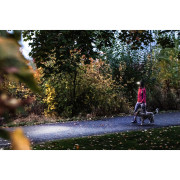 Linterna frontal Ledlenser HF4R Core