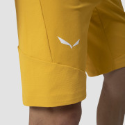 Pantalones cortos de hombre Salewa Agner Dst M Shorts.