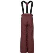 Pantalones de invierno para niños Dare 2b Outmove III Insulated Pant Huckleberry