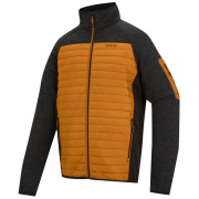 Chaqueta de hombre Regatta Ceden Hybrid