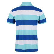 Camiseta de hombre Regatta Maxen