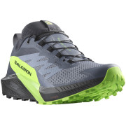 Zapatillas de carrera para hombre Salomon Sense Ride 5 Gore-Tex gris Flint Stone / Black / Green Gecko